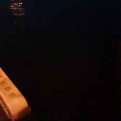 デカアジは絶好調