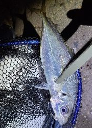 フロートアジング