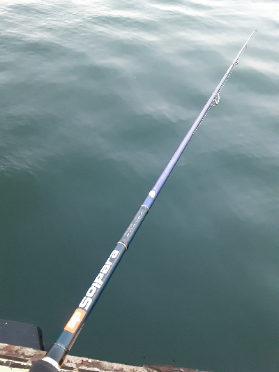 ほぼデカアジ狙い