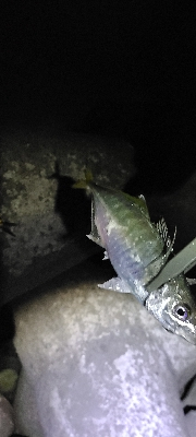 フロートアジング