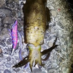 短時間で超満足