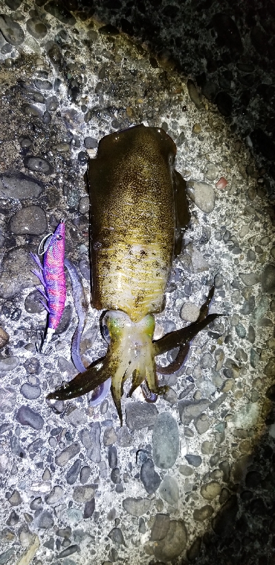 短時間で超満足