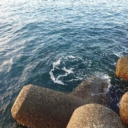 釣れて良かった！