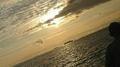 サゴシ、ハマチバラしモード挙げ句はサゴシカッター3発や！