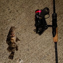 久しぶりにライトゲーム。