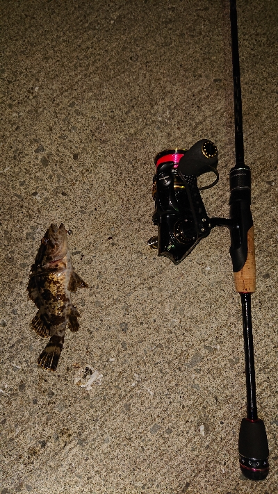 久しぶりにライトゲーム。