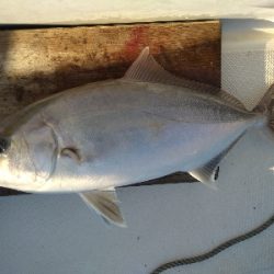 初スーパーライトジギング