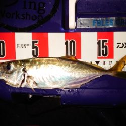 メッチャ引くで