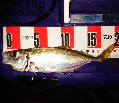 メッチャ引くで