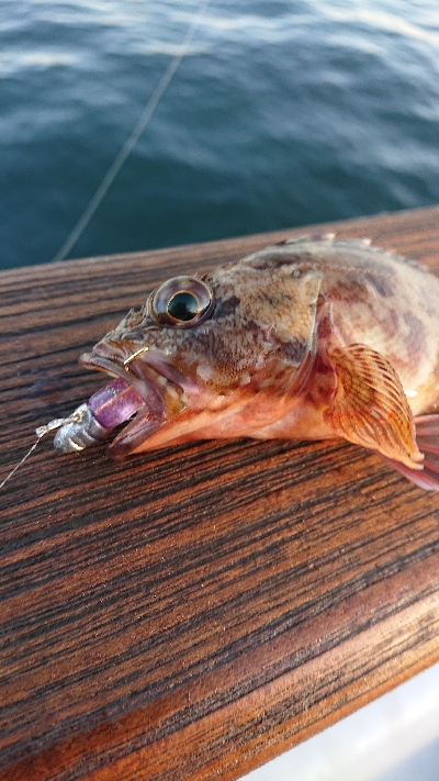 南港ガシリング