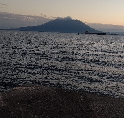 なかなか渋い状況です