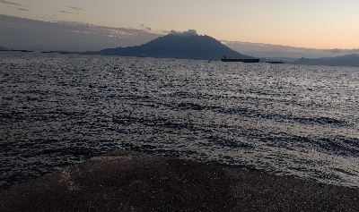 なかなか渋い状況です