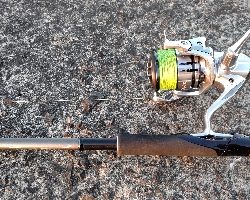 最低気温9℃の中