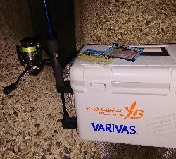 アジがつりたくて