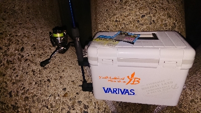 アジがつりたくて