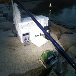 室津のキス釣り