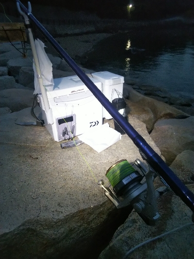 室津のキス釣り