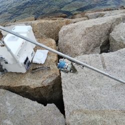 室津のキス釣り