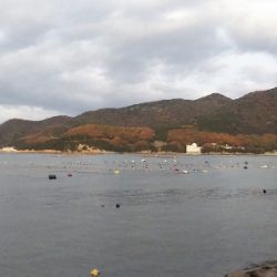 室津のキス釣り