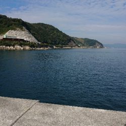 この秋３度目のカワハギ狙い