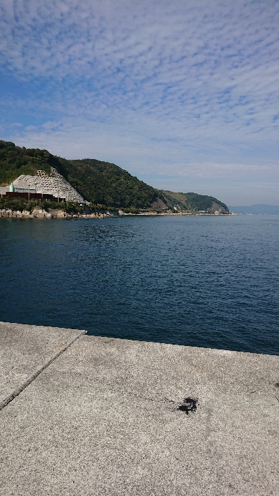 この秋３度目のカワハギ狙い