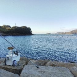 室津のキス釣り