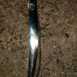 タチウオ偵察に