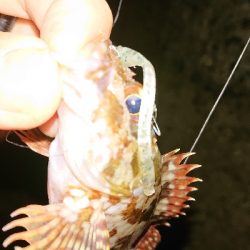 小潮でも高活性♪