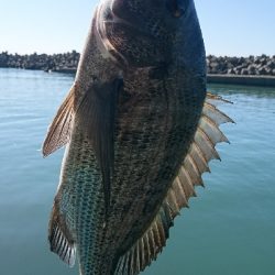 久しぶりの大きなあたり