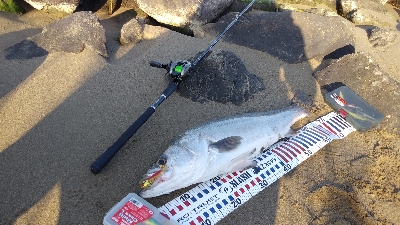 初のランカーサイズ