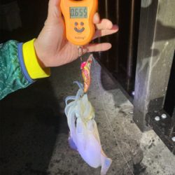 周りの人に感謝の１パイ