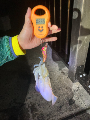 周りの人に感謝の１パイ