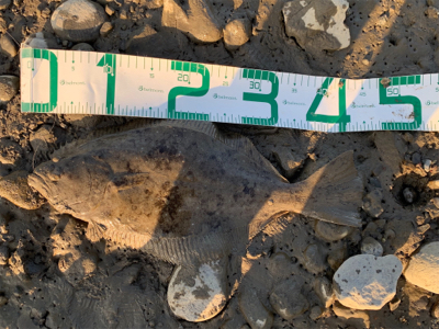 10月最後の釣行