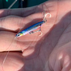 ジグパラスイムでメッキ