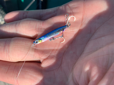 ジグパラスイムでメッキ