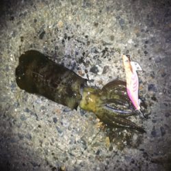 コウちゃんが食べたくて