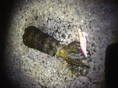 コウちゃんが食べたくて