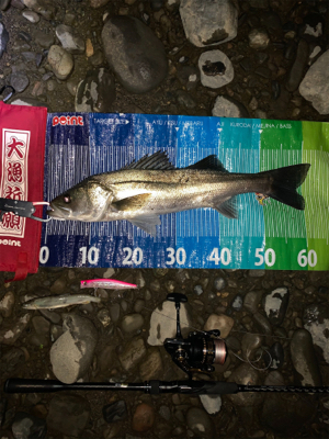 落ち鮎ハイシーズン