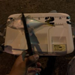 ベイトアジングの道⑩後一投…