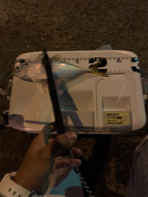 ベイトアジングの道⑩後一投…