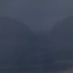 今季初アオリイカ