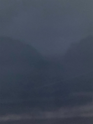 今季初アオリイカ