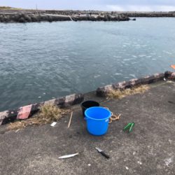 カマスとメッキ