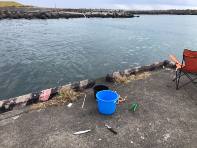 カマスとメッキ