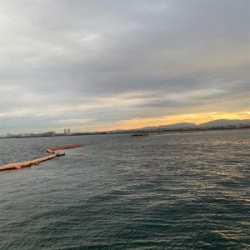 ショアジギングしました