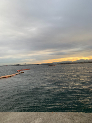 ショアジギングしました