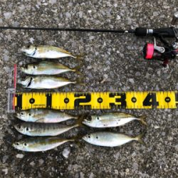 爆風スランプだぁ