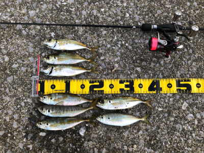 爆風スランプだぁ