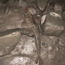 干潮からの朝まづめ釣行