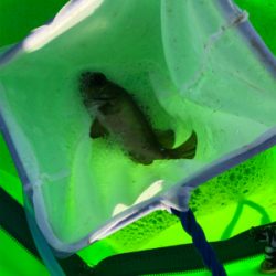 いつもよりも風が強い